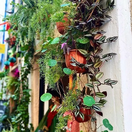 Green Street Loft Lejlighed Lisboa